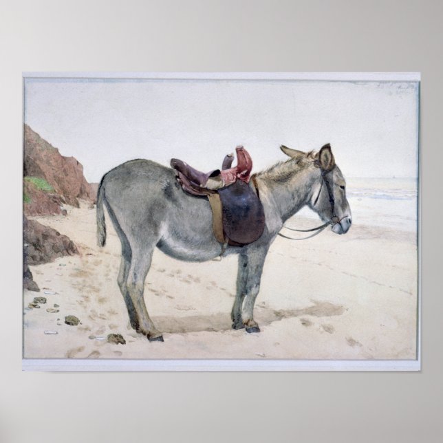 Poster Estudos de Animais (Frente)