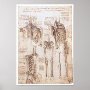 Poster Estudos de esqueleto, Leonardo da Vinci, 1510