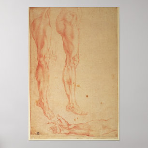 Pôster Estudos dos pés e dos braços