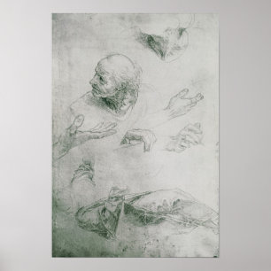 Poster Estudos para a figura de Bramante