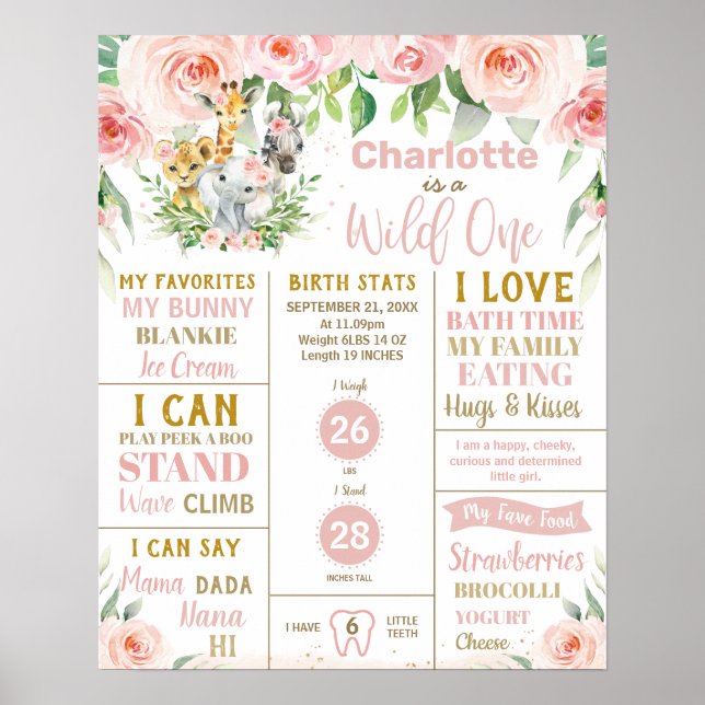 Poster Etapas de primeiro aniversario da Selva Floral (Frente)