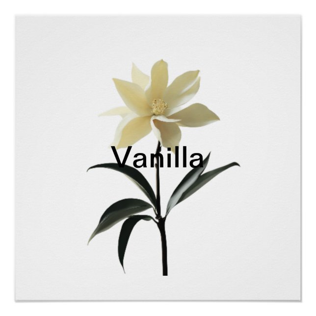 Pôster Eteia Magnolia Grace (Frente)