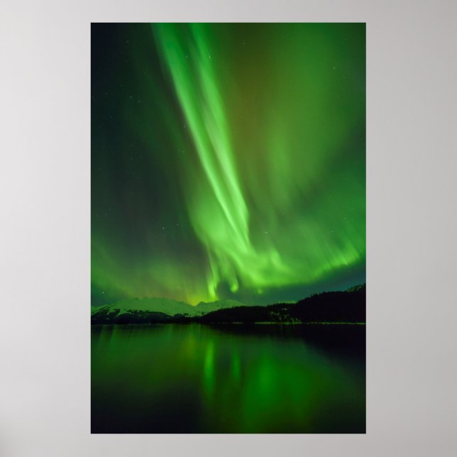 Poster Eterno Aurora (Frente)