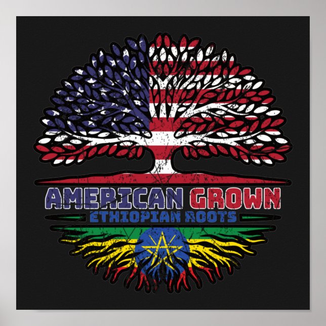 Poster Ethiopia Ethiopian US American USA United States (Frente)