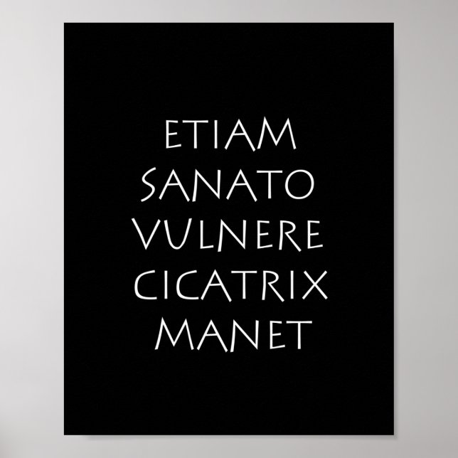 Poster Etiam sanato vulnere cicatrix manet (Frente)