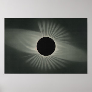 Poster Etienne Leopold Trouvelot - Eclipse Total