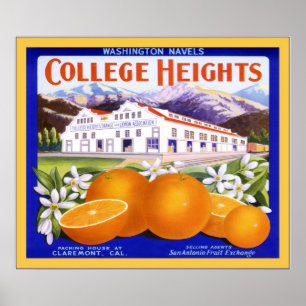 Poster Etiqueta da caixa da fruta do vintage