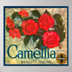 Poster Etiqueta da caixa das laranjas da marca da caméli