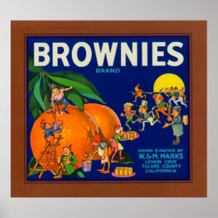 Pôster Etiqueta da caixa do citrino da marca das brownies