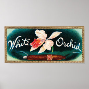 Poster Etiqueta de Cigarro Orquídeo Branco