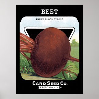 Poster Etiqueta de Pacote de Semente de Beet