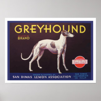 Pôster Etiqueta de Taxa de Fruta do Greyhound