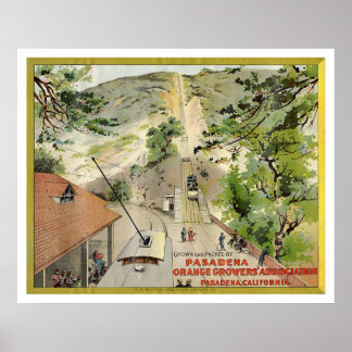 Poster Etiqueta de Vintagem Laranja