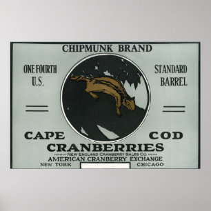 Poster Etiqueta do arando da marca do Chipmunk de Cape