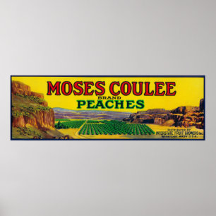 Pôster Etiqueta do pêssego de Moses Coulee