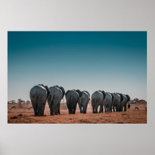 POSTER ETOSHA NATIONAL PARK