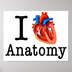 Pôster Eu adoro Anatomia