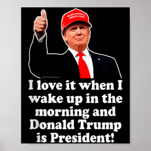 Poster Eu Adoro Quando Donald Trump É Presidente 2024 47º