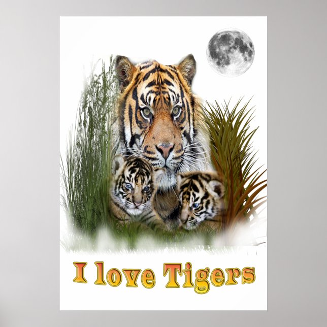 Pôster Eu adoro tigres (Frente)