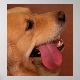 Poster Eu ainda quero mais…