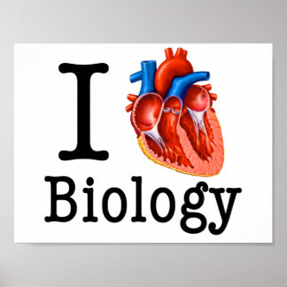 Pôster Eu Amo Biologia