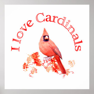 Pôster Eu amo cardeais