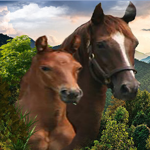 Poster Eu amo Cavalos