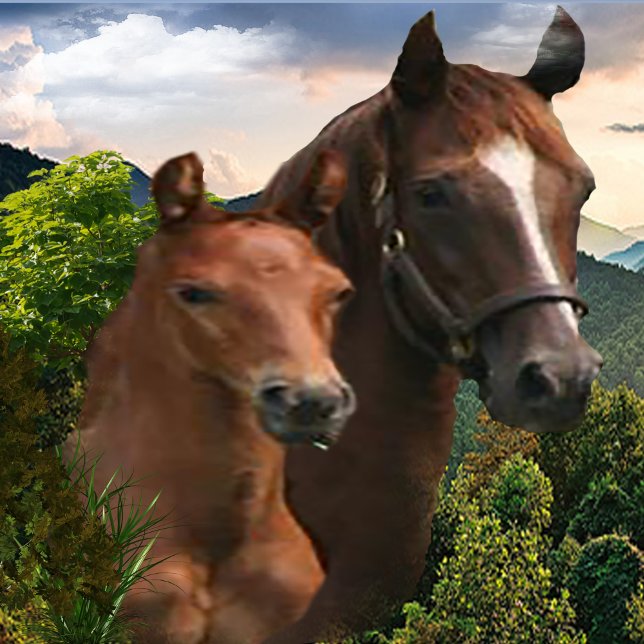 Poster Eu amo Cavalos (Criador carregado)