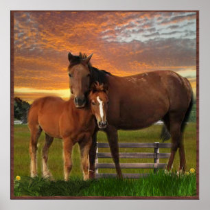 Poster Eu amo Cavalos