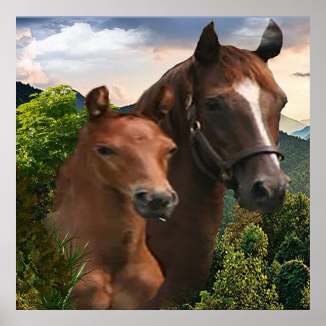 Poster Eu amo Cavalos (Frente)