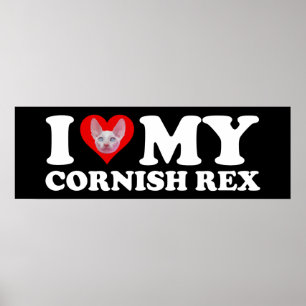 Poster Eu Amo (Coração) Meu Cornish Rex