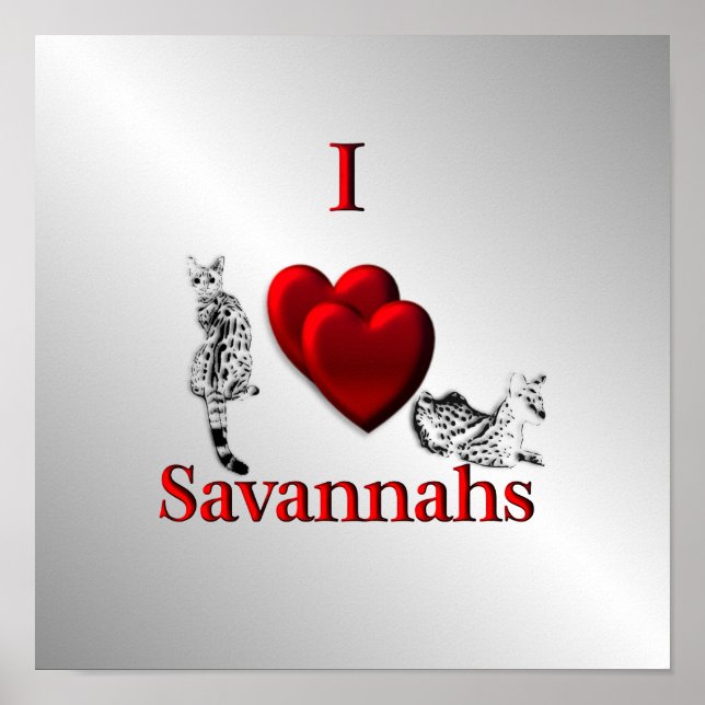 Poster Eu Amo Gato Savannah Prata (Frente)