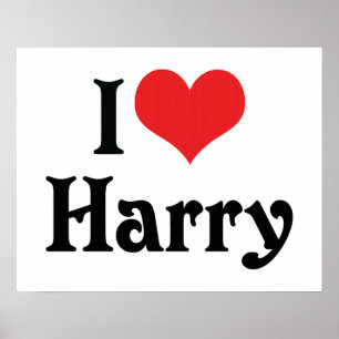 Pôster Eu Amo Harry