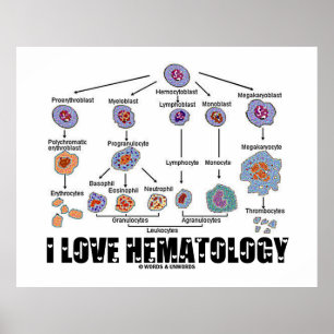 Pôster Eu Amo Hematologia Linhagem De Células Sanguínea