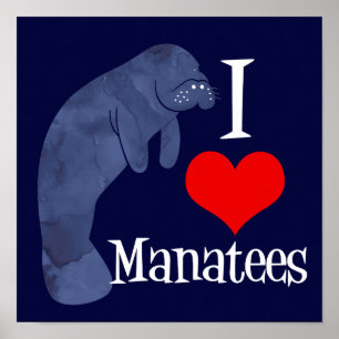 Pôster Eu Amo Manatees