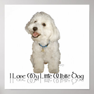 Poster Eu Amo Meu Cachorrinho Branco - Havanese