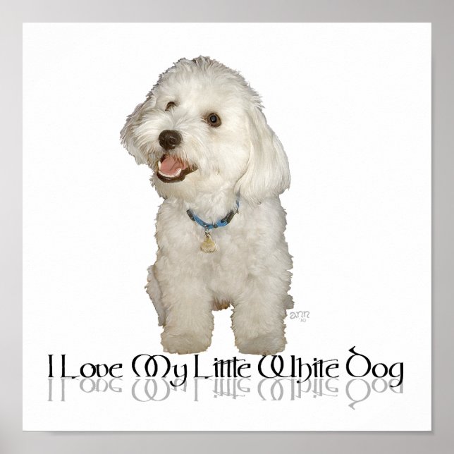 Poster Eu Amo Meu Cachorrinho Branco - Havanese (Frente)