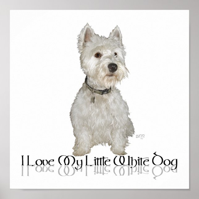 Poster Eu Amo Meu Cachorrinho Branco - Westie (Frente)