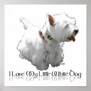 Pôster Eu Amo Meu Cachorrinho Branco - Westie