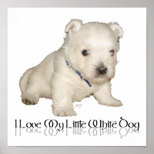 Pôster Eu Amo Meu Cachorrinho Branco - Westie Filhote