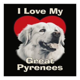 Pôster Eu amo meu cachorro Grande Pirineus