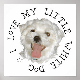 Poster Eu Amo Meu Pequeno Cachorro Branco Maltês