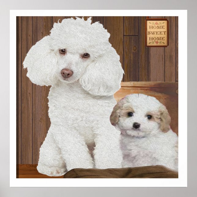 Poster Eu amo meu Poodle (Frente)