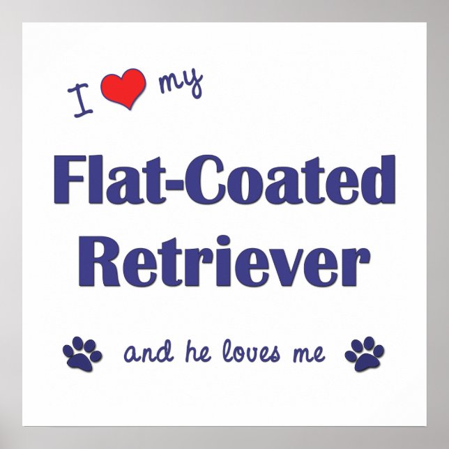 Poster Eu Amo Meu Retriever Revestido Plana (Cachorro Mas (Frente)