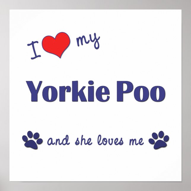 Poster Eu Amo Meu Yorkie Poo (Cachorro feminino) (Frente)