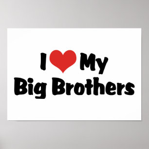 Poster Eu Amo Meus Irmãos Mais Velhos