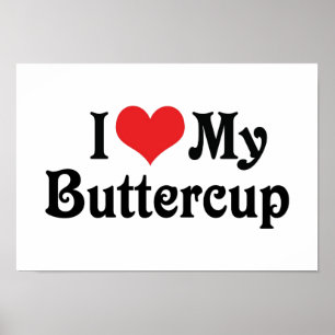 Pôster Eu Amo Minha Buttercup