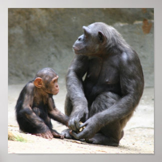 Poster Eu amo minha mãe