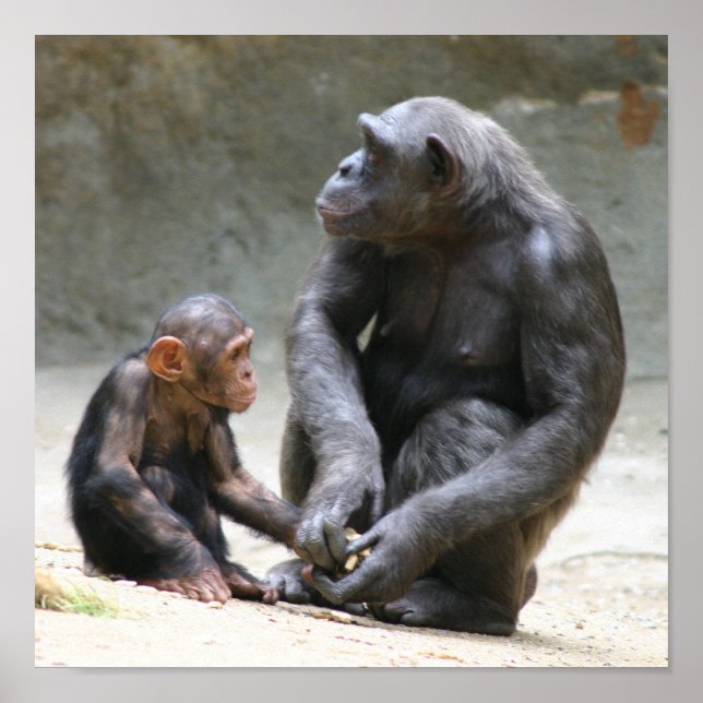 Poster Eu amo minha mãe (Frente)