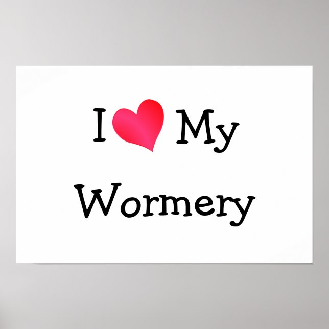 Poster Eu Amo Minha Preocupação (Frente)